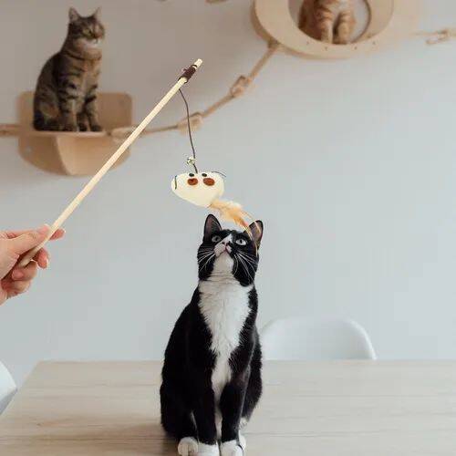 اسباب بازی چوب بل